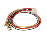 X80J24 Globe Connector