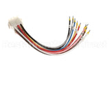 X80J25 Globe Connector