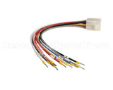 X80J25 Globe Connector