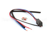 X80J35-1 Globe Microswitch - New Style