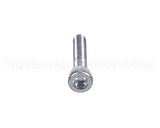 X80J36 Globe Screw