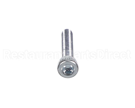 X80J36 Globe Screw