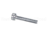 X80J36 Globe Screw