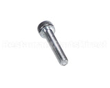 X80J36 Globe Screw