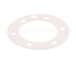 XP1011 Globe Fiber Gasket (Xvga/Xvsa)