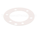 XP1011 Globe Fiber Gasket (Xvga/Xvsa)