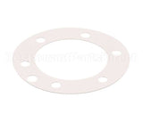 XP1011 Globe Fiber Gasket (Xvga/Xvsa)