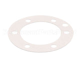 XP1011 Globe Fiber Gasket (Xvga/Xvsa)