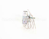 XTSA0007 Anvil America Thermostat Assembly