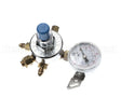 YQT-731E Multiplex Regulator Intellicarb