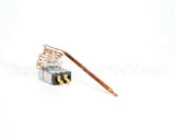 Z002180 Groen Thermostat (012838)