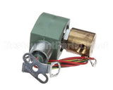 Z003460 Groen Valve Sol .25 Npt .25