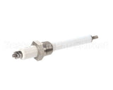 Z014356 Groen Electrode Water Level