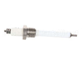 Z014356 Groen Electrode Water Level