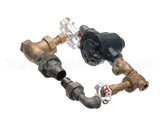 Z025923 Groen Trap Steam Assembly Completely