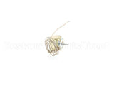 Z041700 Groen Thermostat