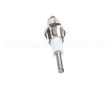 Z076526 Groen Water Level Probe, Ngb-2 Boile