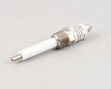 Z079811 Groen Probe Low Water Level