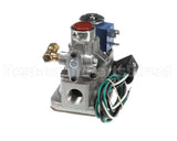 Z097610 Groen Valve Gas Control W/B
