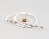 Z098418 Groen Kit Temperature Probe
