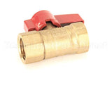 Z098458 Groen Valve Gas Manual Shutoff 1/2