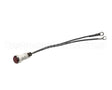 Z1-301013 Star Pilot Light Assembly 240V