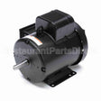 Z112A Marathon Motor