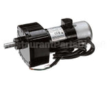 ZB060301790 Zesto Gear Drive Motor Assembly