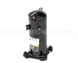ZR38K5E-PFV-830 International Comfort Pro Compressor